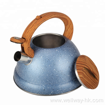 3L Tea Kettle Stainless Steel With Plastic Handle